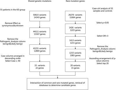 Whole-exome sequencing reveals Kawasaki disease susceptibility genes and their association with coronary artery lesion